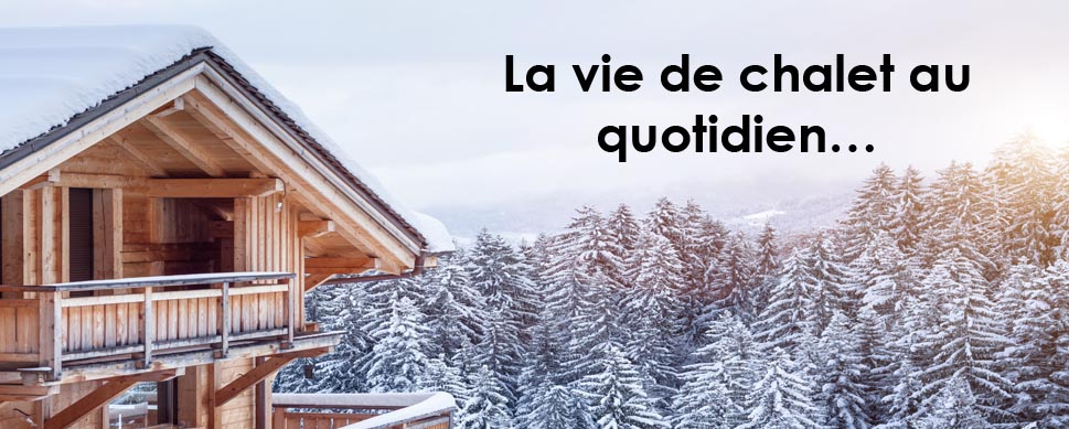 Conditions de travail du Centre de services scolaire des Laurentides 