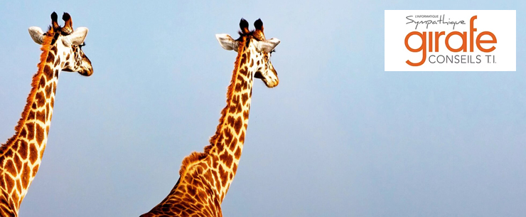 À propos de Girafe Conseils À propos de Girafe Conseils