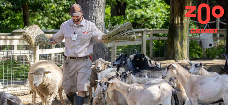 Technicien informatique pour le Zoo de Granby